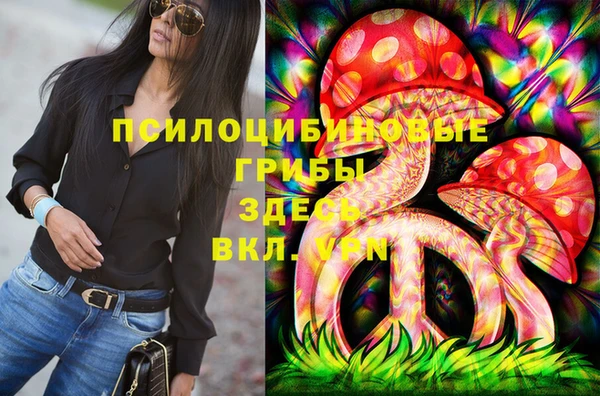 дурь Алексин