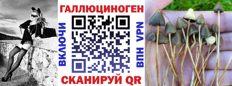 цена наркотик  Ачинск  Галлюциногенные грибы Psilocybine cubensis 