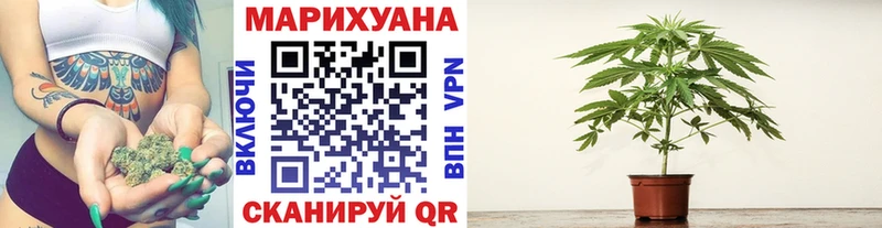Шишки марихуана марихуана Ачинск